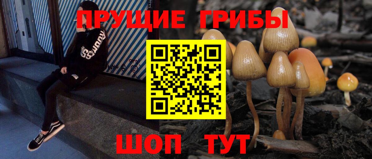 Галлюциногенные грибы GOLDEN TEACHER  Вход с VPN  Ишимбай  Галлюциногенные грибы ЛСД 
