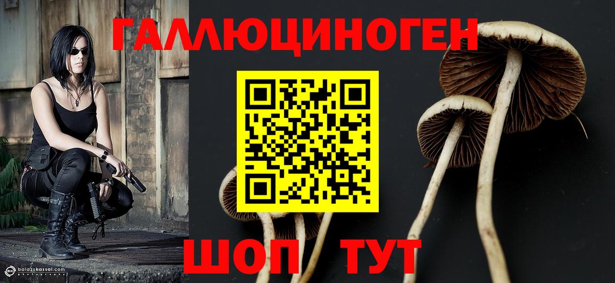 Псилоцибиновые грибы GOLDEN TEACHER Ишимбай